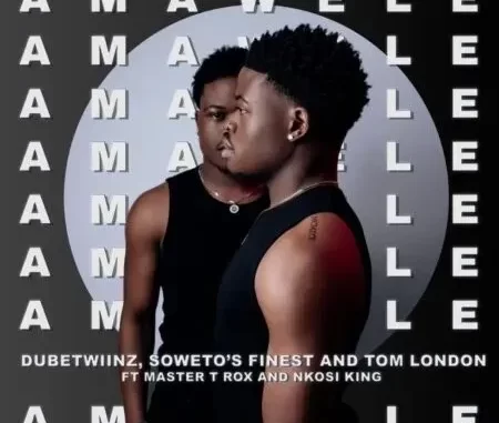 Dube Twiinz, Tom London & Soweto’s Finest – Amawele ft. Master T Rox & Nkosi King