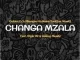 Golden Djz, Nkanyezi Kubheka & ToniQue MusiQ – Changa Mzala ft Style 99 & Galaxy MusiQ