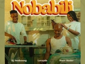 LeRoyale & DJ Awakening ft Starr Healer – Nobabili