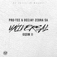 Protee & Deejay Zebra SA - All In One