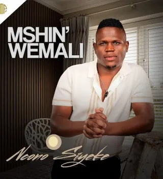 Mshinwemali - Ngena