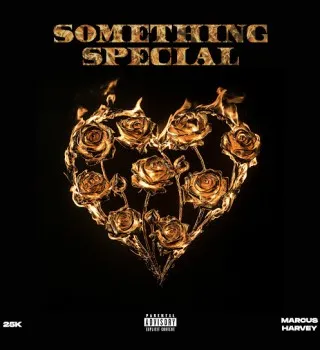 25K – Something Special Ft Marcus Harvey