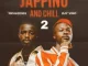 Djy Vino & Nkulee501 – Jappino Ft. Sxova RSA