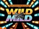 DrummeRTee924 – WILD x MILD