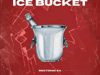 Roctonic SA – Ice Bucket