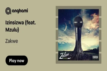 izinsizwa mp3 download