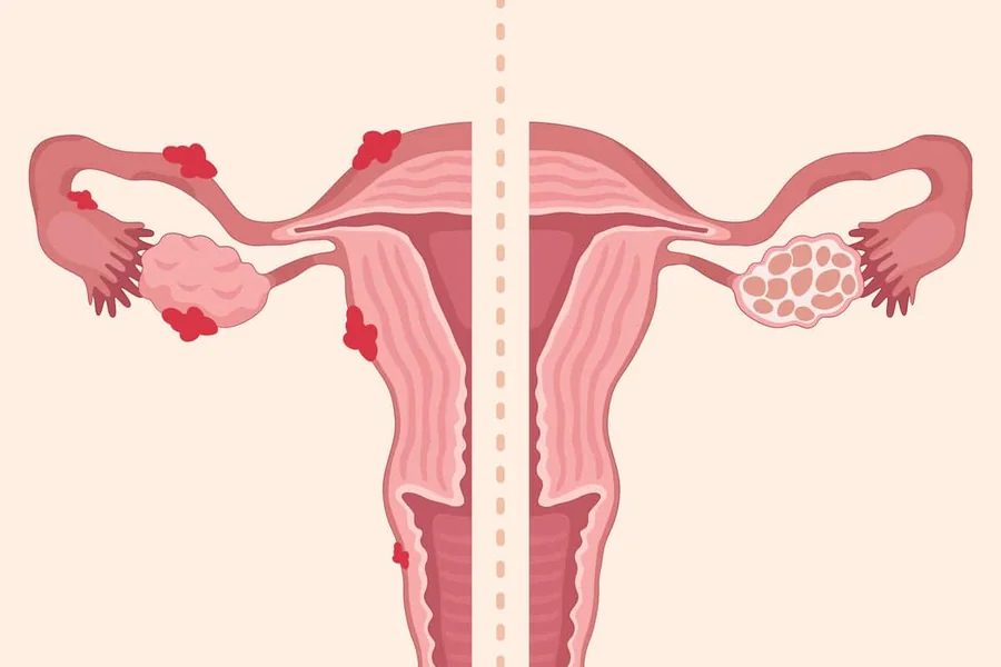 Womens Health Specialist